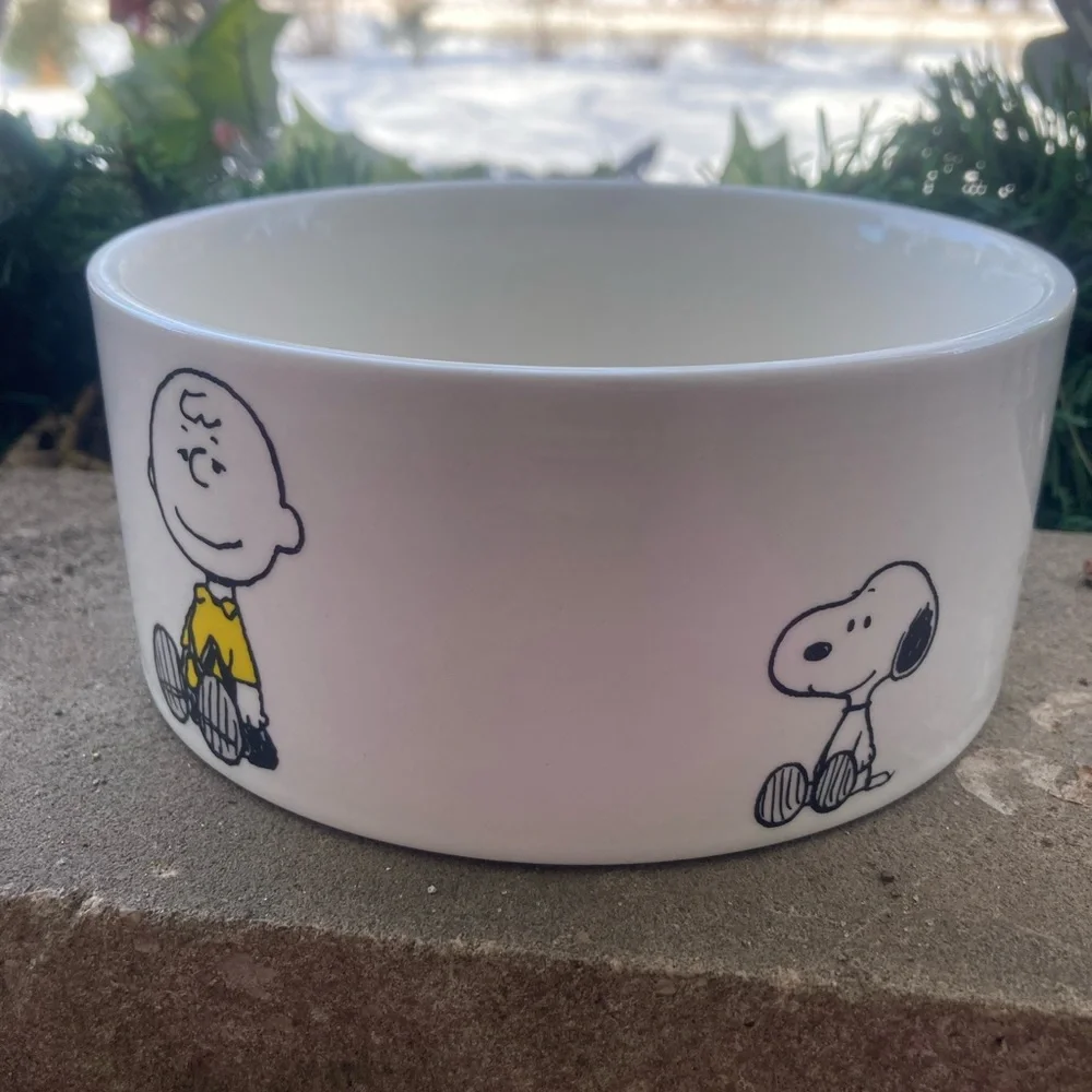The peanuts pets bowl